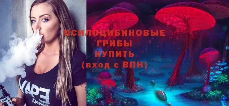 Псилоцибиновые грибы Psilocybe Сковородино